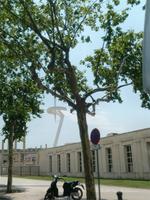 Olympiastadion