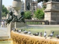 Plaza Catalunya