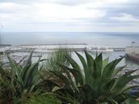Port Barcelona