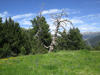Roc de la Creu