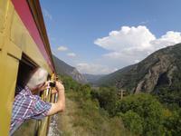 Train Jaune