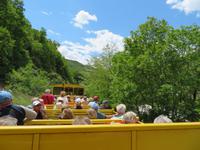 der gelbe Zug