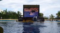 0506 Loro Park