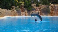 0507 Loro Park