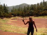 Teneriffa - Rundreise – Inselhüpfen auf den Kanaren - La Orotava