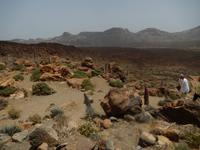 Teneriffa - Rundreise – Inselhüpfen auf den Kanaren - La Orotava