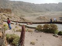 Teneriffa - Rundreise – Inselhüpfen auf den Kanaren - Teide
