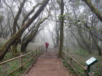 La Gomera - Rundreise – Inselhüpfen auf den Kanaren