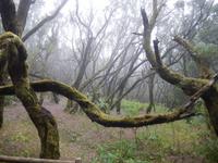 La Gomera - Rundreise – Inselhüpfen auf den Kanaren