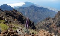 La Palma - Rundreise – Inselhüpfen auf den Kanaren