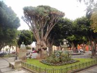 San Cristobal de la Laguna