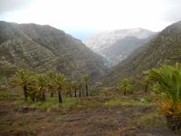 Palmental - La Gomera