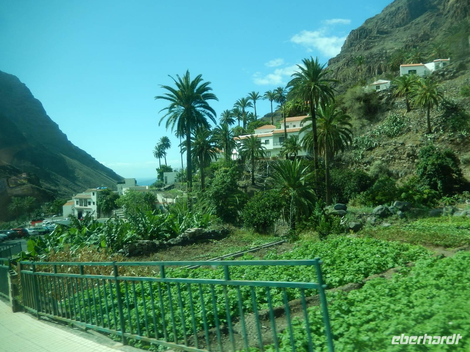 Palmental - La Gomera