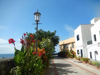 Palmental - La Gomera