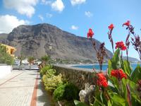 Palmental - La Gomera