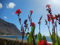 Palmental - La Gomera