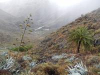 La Gomera