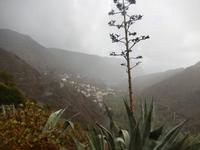 La Gomera