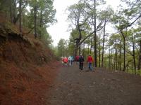 Cumbrecita - La Palma