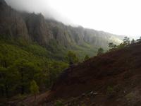 Cumbrecita - La Palma