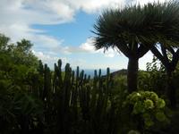 Hoyo de Mazo - La Palma