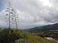 Mirador de las Nieves - La Palma