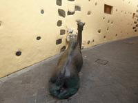 Agüimes - Gran Canaria