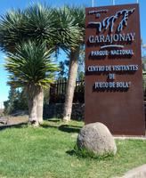 604_La Gomera; NP Garajonay 