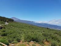 Teneriffa - Inselhüpfen auf den Kanaren - 12 Tage Rundreise auf den Kanarische Inseln