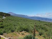 Teneriffa - Inselhüpfen auf den Kanaren - 12 Tage Rundreise auf den Kanarische Inseln