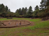 Teneriffa - Inselhüpfen auf den Kanaren - 12 Tage Rundreise auf den Kanarische Inseln