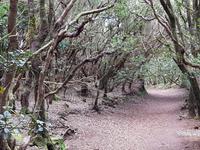 Teneriffa - Inselhüpfen auf den Kanaren - 12 Tage Rundreise auf den Kanarische Inseln