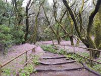 La Gomera - Inselhüpfen auf den Kanaren - 12 Tage Rundreise auf den Kanarische Inseln