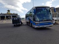 La Gomera - Inselhüpfen auf den Kanaren - 12 Tage Rundreise auf den Kanarische Inseln