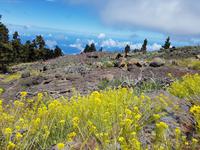 La Palma - Inselhüpfen auf den Kanaren - 12 Tage Rundreise auf den Kanarische Inseln