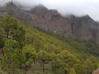 La Palma - Inselhüpfen auf den Kanaren - 12 Tage Rundreise auf den Kanarische Inseln