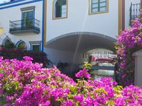 Gran Canaria - Inselhüpfen auf den Kanaren - 12 Tage Rundreise auf den Kanarische Inseln