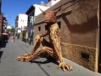 Inselrundfahrt auf Teneriffa (15)