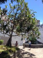 Inselrundfahrt auf Teneriffa (20)