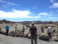 Teide und Orotava  (32)