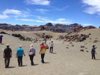 Teide und Orotava  (34)