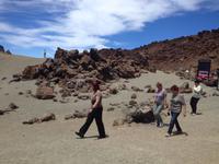 Teide und Orotava  (35)