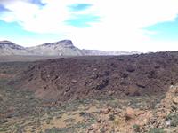 Teide und Orotava  (36)