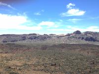 Teide und Orotava  (37)