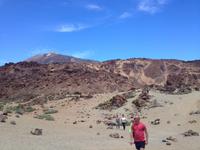 Teide und Orotava  (38)