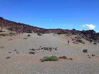 Teide und Orotava  (39)