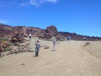 Teide und Orotava  (41)