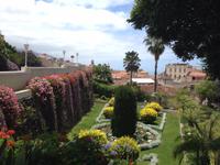 Teide und Orotava  (48)