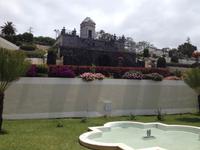 Teide und Orotava  (49)