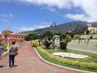 Teide und Orotava  (51)